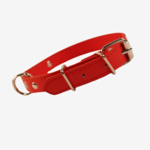 Collar de perro